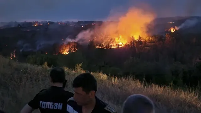 Мъж загина при пожар в бургаско село
