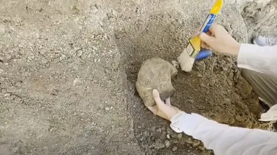 Археолози откриха мраморен торс на Херакъл в Хераклея Синтика