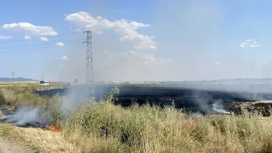 Огнеборци спасиха 200 декара жито от голям пожар в Пазарджишко