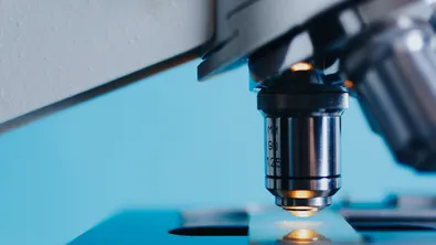 Проверяват популярното скуиши след инцидента с 13-годишно момиче