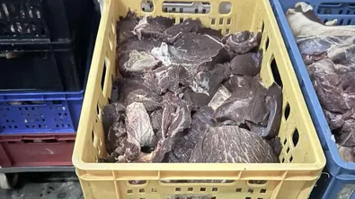 Близо 500 кг месо и животински продукти са иззети при проверка в Хасково