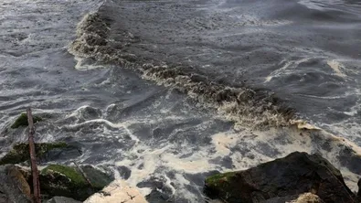 Нови следи от мазут по българските плажове: Властите твърдят, че морето остава безопасно
