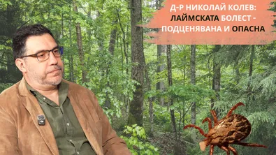 Д-р Николай Колев: Лаймската болест - подценявана и опасна