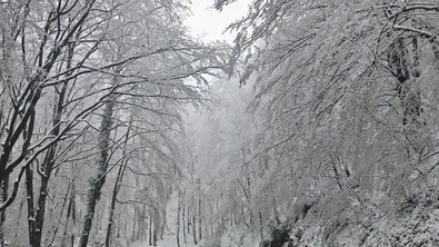 Сняг посред лято заваля в Румъния