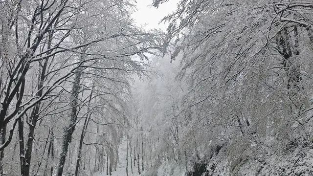 Сняг посред лято заваля в Румъния