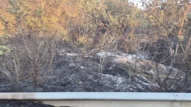 Пожар пламна край Сандански, огънят обхвана десетки декари