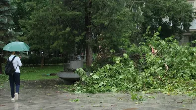 Жълт код утре за валежи в райони на Варна и Добрич