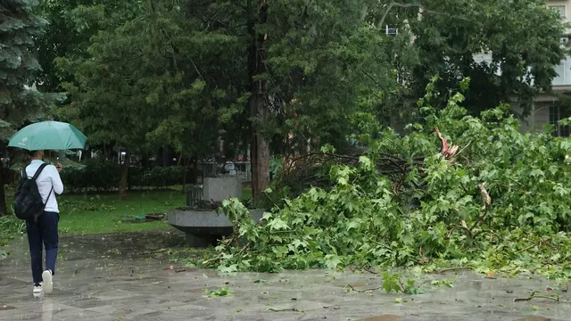 Жълт код утре за валежи в райони на Варна и Добрич