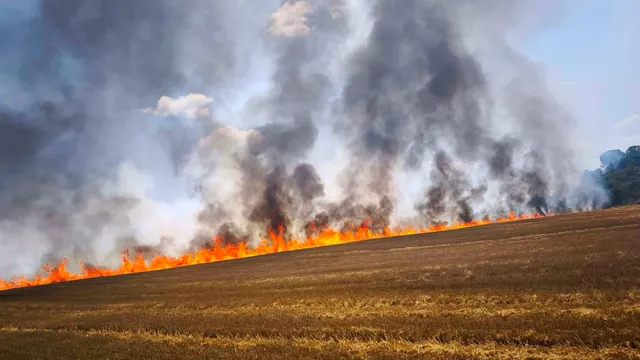 Локализираха пожара край Стара Загора