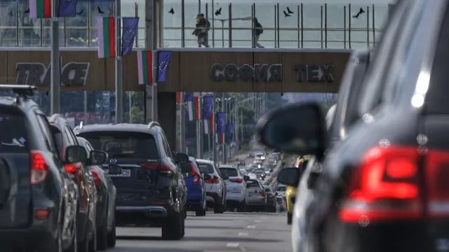 Колите в България скоро може да станат повече от хората
