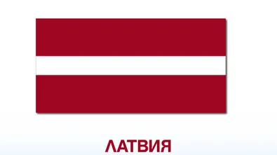 Латвийската армия използва сълзотворен газ срещу мигранти на границата с Беларус