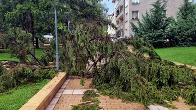 Две жени пострадаха при силната буря в Ямбол, едната е със скъсано сухожилие
