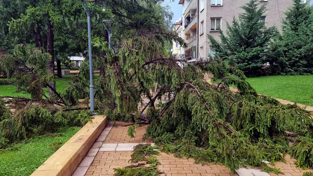 Две жени пострадаха при силната буря в Ямбол, едната е със скъсано сухожилие