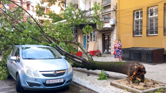 Десетки граждани са били ранени при силната буря в Скопие