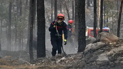 Южна Франция е в битка с голям горски пожар, на терен са 1100 пожарникари