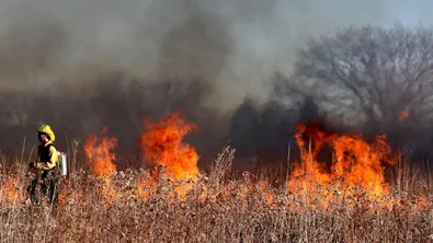 Пожар избухна край Луковит, дим се издига в близост до къщите