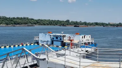 Необичайна находка край Русе: Предполагаеми останки от мамут изплуваха от Дунав