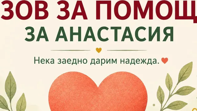 Събрани са парите за лечение на детето на загиналия военен пилот Дункин