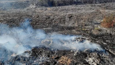 Пожар край пътя София – Варна затруднява движението в района на Боаза