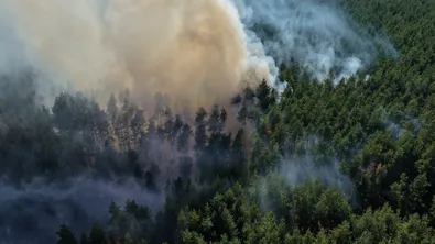 Пожарът край село Шума е потушен