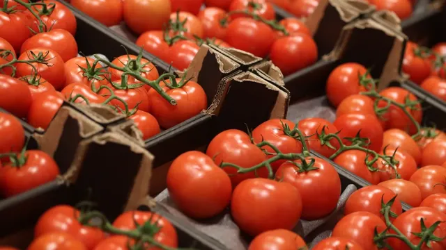 Парадокс: В разгара на сезона на доматите, цената им с 16% нагоре