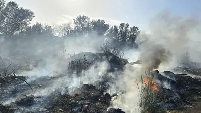 15 пожара избухнаха за ден в Северна Македония