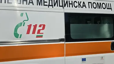 Дете е в критично състояние след нападение на куче от порода Кане Корсо
