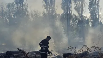 Как технологиите помагат на пожарникарите в борбата с горските пожари