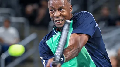 Монфис получи уайлд кард за US Open, Григор още чака