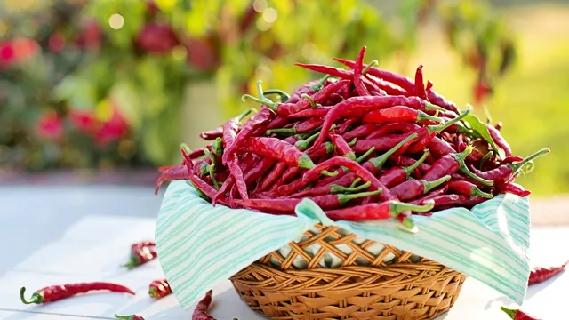 На 3 и 4 октомври ще се състои третото издание на Sofia Chilli Fest