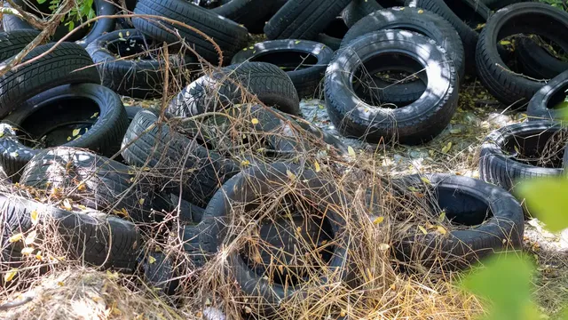 Гробище за автомобилни гуми се появи в столичния кв. „Надежда“