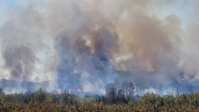 Пожарът край АМ „Тракия“: Възможна е човешка намеса