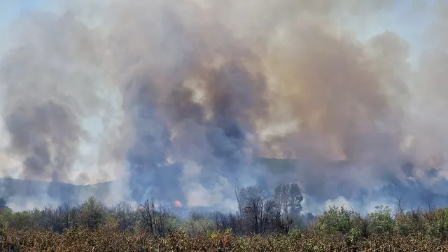 Пожарът край АМ „Тракия“: Възможна е човешка намеса