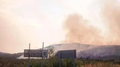 Два военни вертолета "Кугър" се включиха в гасенето на пожара край АМ "Тракия"