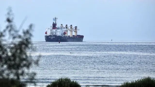 „Грийнпийс“ призова за спиране на добива на нефт и газ в Черно море