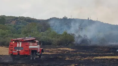 Раздухван от вятъра, пожарът в Кюстендилско се разраства