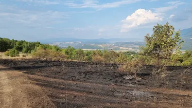 Пожарът в Кюстендилско е частично локализиран