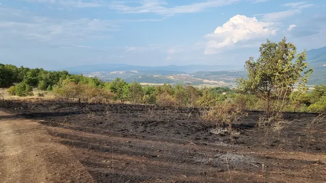 Пожарът в Кюстендилско е частично локализиран