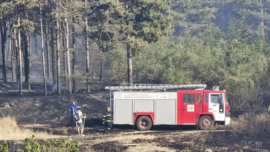 Овладян е пожар, пламнал край Петрова нива в Странджа