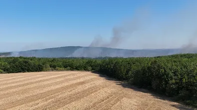Десет екипа гасят пожара в Боляровско