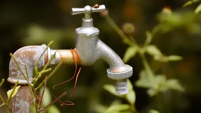 Свищовското село Горна Студена е на строг воден режим