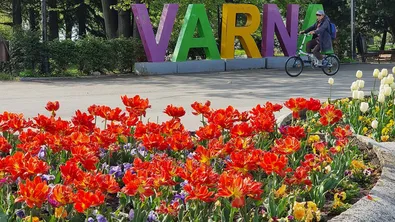 Празникът на Варна: Концерти, спорт и DARA сред акцентите в програмата