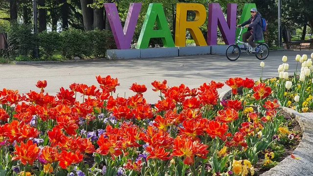 Празникът на Варна: Концерти, спорт и DARA сред акцентите в програмата