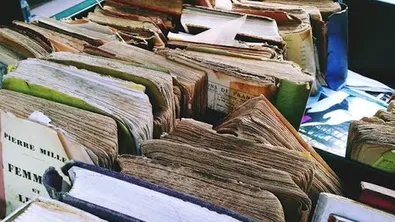 Хиляди стари книги изчезват от британски книжарници – подозренията водят към AI