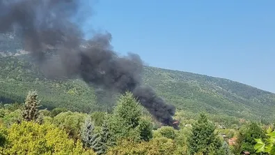 Пожар в столичния квартал "Драгалевци" (ВИДЕО)