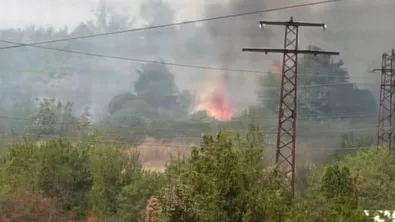 Пожар бушува край Мездра, огънят обхвана половината от лозята