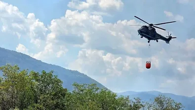 Пожарът край Асеновград е овладян