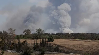 Пожарите в Сърбия обхванаха над 3500 хектара, огънят застрашава населени места