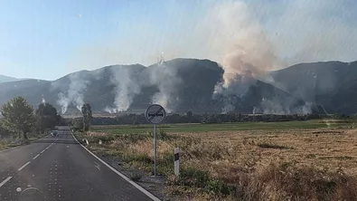Пожарът в Пловдивско е овладян