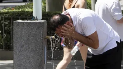 Смъртоносно лято в Испания: Жегите са свързани с близо 4500 жертви